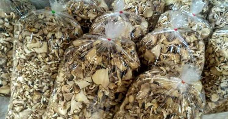Buy Mushroom In Australia Online